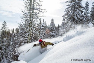 Build your mountain retreat in one of Tamarack Resort's most on Osprey Meadows at Tamarack Resort in Idaho - for sale on GolfHomes.com, golf home, golf lot