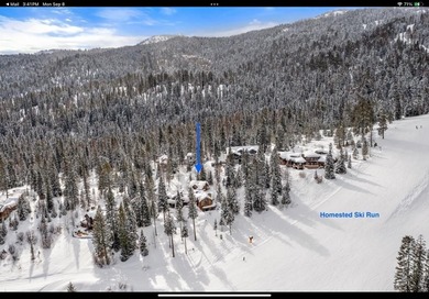 This is more than a home-it's a front-row seat to Tamarack's on Osprey Meadows at Tamarack Resort in Idaho - for sale on GolfHomes.com, golf home, golf lot