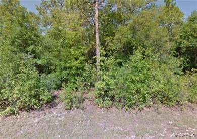 This property is located in the beautiful subdivision of Citrus on Citrus Springs Country Club in Florida - for sale on GolfHomes.com, golf home, golf lot