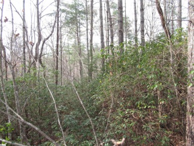 2 acre wooded tract in the mountain golf course of The Rock at on The Rock At Jocassee in South Carolina - for sale on GolfHomes.com, golf home, golf lot