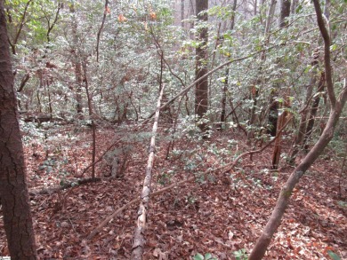 2 acre wooded tract in the mountain golf course of The Rock at on The Rock At Jocassee in South Carolina - for sale on GolfHomes.com, golf home, golf lot