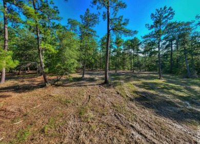 1.07 Acre WATERFRONT lot in the Coves! This property includes on Rayburn Country Club in Texas - for sale on GolfHomes.com, golf home, golf lot