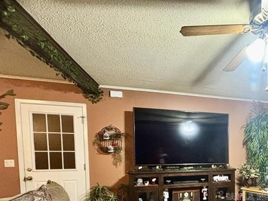 WHAT A BUY!  Adorable and well maintained three-bedroom home on DeSoto Golf Course in Arkansas - for sale on GolfHomes.com, golf home, golf lot