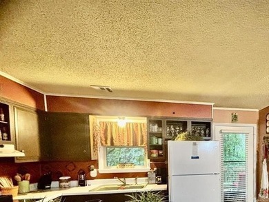 WHAT A BUY!  Adorable and well maintained three-bedroom home on DeSoto Golf Course in Arkansas - for sale on GolfHomes.com, golf home, golf lot