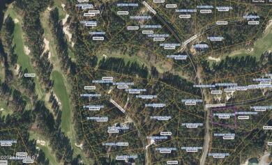Wonderful interior lot located in Forest Creek. This lot offers on Forest Creek Golf Club  in North Carolina - for sale on GolfHomes.com, golf home, golf lot