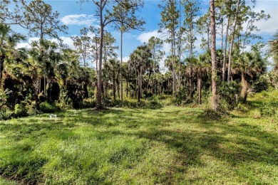 Welcome to your dream home in Golden Gate Estates! This on The Club At Twin Eagles in Florida - for sale on GolfHomes.com, golf home, golf lot