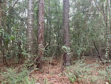 Here is your chance to build a custom home in the fabulous on Canebrake Country Club in Mississippi - for sale on GolfHomes.com, golf home, golf lot