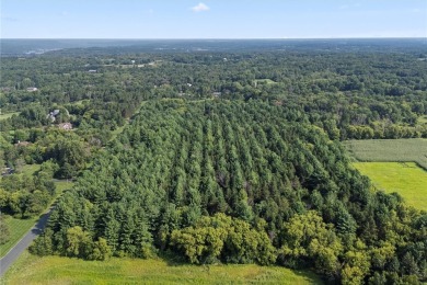 Your dream property awaits on 6 Acres near St. Croix National! on St. Croix National Golf Course in Wisconsin - for sale on GolfHomes.com, golf home, golf lot