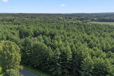 Your dream property awaits on 6 Acres near St. Croix National! on St. Croix National Golf Course in Wisconsin - for sale on GolfHomes.com, golf home, golf lot