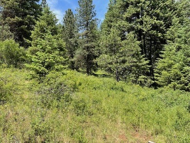 PRICED TO SELL, $55,000 below its County Assessed Value. Five on Meadowcreek Golf Resort in Idaho - for sale on GolfHomes.com, golf home, golf lot