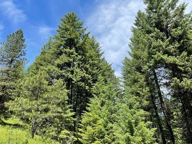 PRICED TO SELL, $55,000 below its County Assessed Value. Five on Meadowcreek Golf Resort in Idaho - for sale on GolfHomes.com, golf home, golf lot