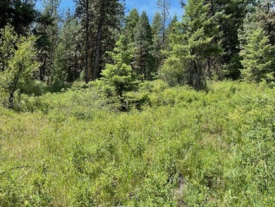 PRICED TO SELL, $55,000 below its County Assessed Value. Five on Meadowcreek Golf Resort in Idaho - for sale on GolfHomes.com, golf home, golf lot