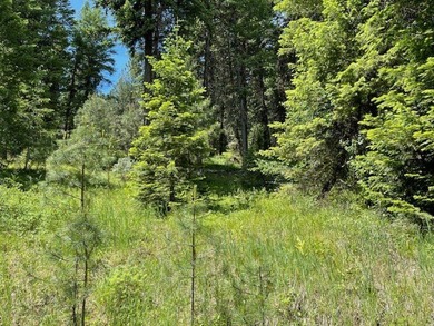 PRICED TO SELL, $55,000 below its County Assessed Value. Five on Meadowcreek Golf Resort in Idaho - for sale on GolfHomes.com, golf home, golf lot