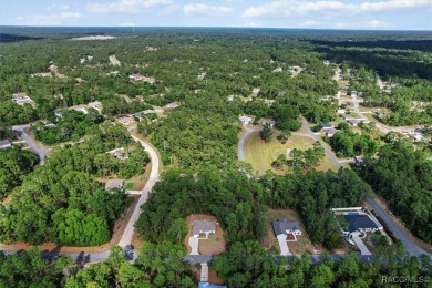 Better-Than-New Citrus Springs beauty offers durability and on Pine Ridge Community Golf and Country Club in Florida - for sale on GolfHomes.com, golf home, golf lot