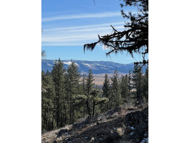 Top of the World views of scenic Meadows Valley, perched on the on Meadowcreek Golf Resort in Idaho - for sale on GolfHomes.com, golf home, golf lot