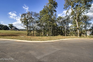 Don't miss the chance to make this incredible amenity focused on Tennessee National Golf Club in Tennessee - for sale on GolfHomes.com, golf home, golf lot