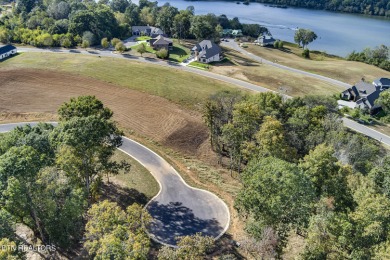 Don't miss the chance to make this incredible amenity focused on Tennessee National Golf Club in Tennessee - for sale on GolfHomes.com, golf home, golf lot