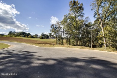 Don't miss the chance to make this incredible amenity focused on Tennessee National Golf Club in Tennessee - for sale on GolfHomes.com, golf home, golf lot