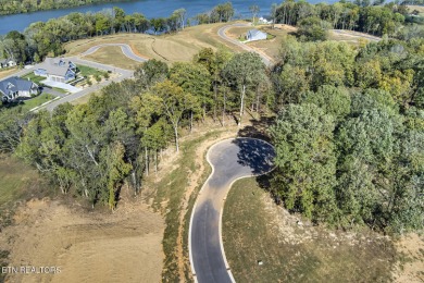 Don't miss the chance to make this incredible amenity focused on Tennessee National Golf Club in Tennessee - for sale on GolfHomes.com, golf home, golf lot