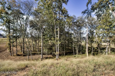 Don't miss the chance to make this incredible amenity focused on Tennessee National Golf Club in Tennessee - for sale on GolfHomes.com, golf home, golf lot