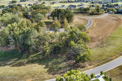 Don't miss the chance to make this incredible amenity focused on Tennessee National Golf Club in Tennessee - for sale on GolfHomes.com, golf home, golf lot