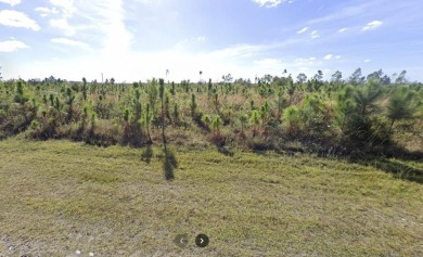 Come build your forever home on this one-half acre lot that on Indian Lake Estates Golf and Country Club in Florida - for sale on GolfHomes.com, golf home, golf lot