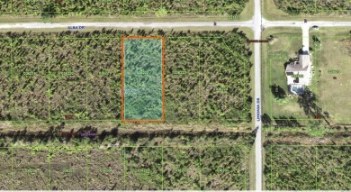 Come build your forever home on this one-half acre lot that on Indian Lake Estates Golf and Country Club in Florida - for sale on GolfHomes.com, golf home, golf lot