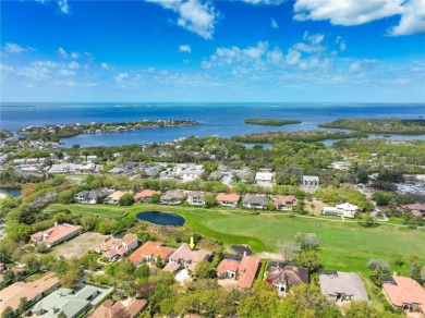 Under contract-accepting backup offers. NO FLOOD INSURANCE is on Innisbrook Resort and Golf Club in Florida - for sale on GolfHomes.com, golf home, golf lot