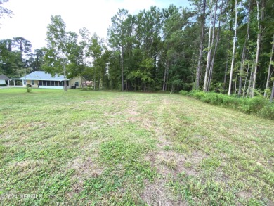 Welcome to the perfect place to build your new home. A cleared on The Oaks Golf Club in Florida - for sale on GolfHomes.com, golf home, golf lot