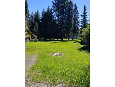 Escape to this gorgeous property on #2 Birch of the McCall Golf on McCall Municipal Golf Course in Idaho - for sale on GolfHomes.com, golf home, golf lot