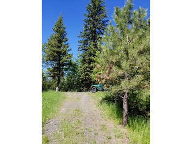 Escape to this gorgeous property on #2 Birch of the McCall Golf on McCall Municipal Golf Course in Idaho - for sale on GolfHomes.com, golf home, golf lot