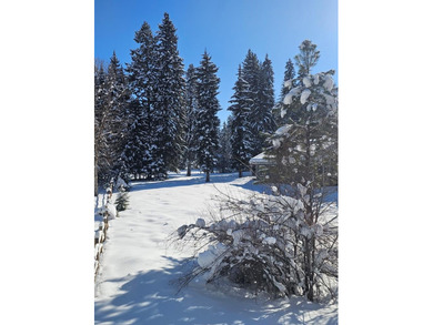 Escape to this gorgeous property on #2 Birch of the McCall Golf on McCall Municipal Golf Course in Idaho - for sale on GolfHomes.com, golf home, golf lot