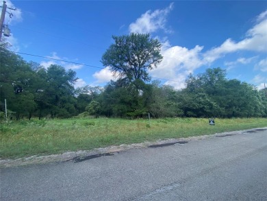 Welcome to a rare opportunity in the sought-after Horseshoe Bend on Horseshoe Bend Country Club in Texas - for sale on GolfHomes.com, golf home, golf lot