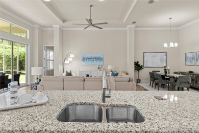 Enjoy incredible savings and move into a like-new home--without on Skyview At Terra Vista Golf and Country Club in Florida - for sale on GolfHomes.com, golf home, golf lot