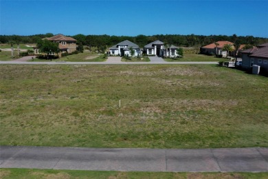 Conservatory at Hammock Beach Build your dream home on this on Conservatory Course At Hammock Beach Resort in Florida - for sale on GolfHomes.com, golf home, golf lot