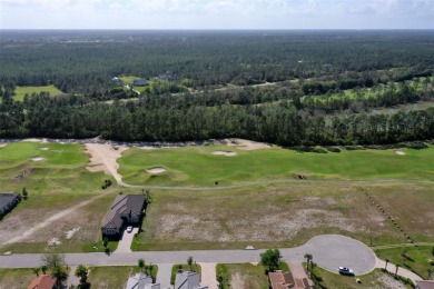 Conservatory at Hammock Beach Build your dream home on this on Conservatory Course At Hammock Beach Resort in Florida - for sale on GolfHomes.com, golf home, golf lot