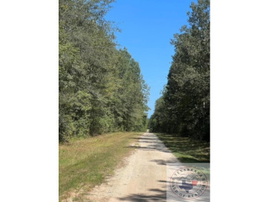 New Duck Hunting/ Recreational tract listing in Red River County on  in Texas - for sale on GolfHomes.com, golf home, golf lot