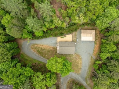 Custom-built in 2016, this spacious and well-maintained home is on White Path Golf Club in Georgia - for sale on GolfHomes.com, golf home, golf lot
