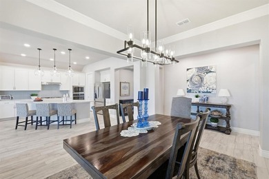 Welcome Home! Better than new! This beautiful, light-and-bright on Wildhorse Golf Club of Robson Ranch in Texas - for sale on GolfHomes.com, golf home, golf lot