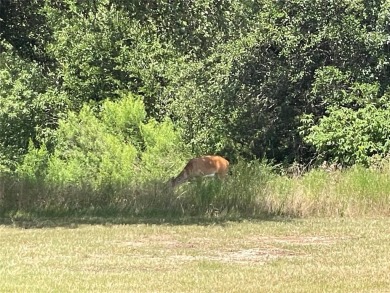 Stunning .62 acre lot. Build your dream home on this lot and on The Retreat in Texas - for sale on GolfHomes.com, golf home, golf lot