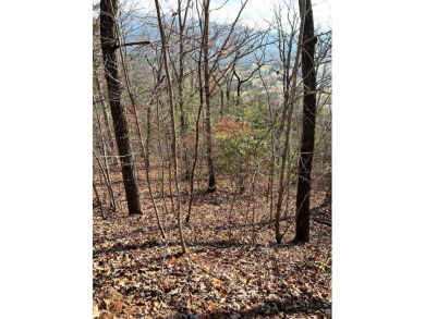 Beautiful Lot located in Mountain Harbour, with level area on Mountain Harbour Golf Club in North Carolina - for sale on GolfHomes.com, golf home, golf lot