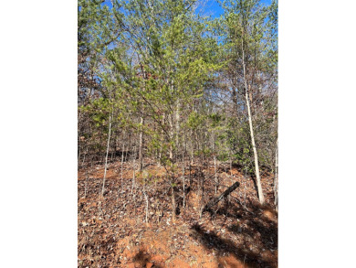 Beautiful Lot located in Mountain Harbour, with level area on Mountain Harbour Golf Club in North Carolina - for sale on GolfHomes.com, golf home, golf lot