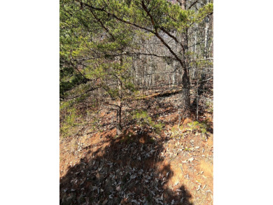 Beautiful Lot located in Mountain Harbour, with level area on Mountain Harbour Golf Club in North Carolina - for sale on GolfHomes.com, golf home, golf lot