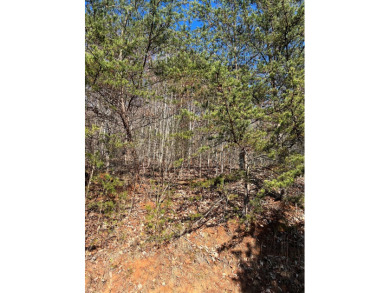 Beautiful Lot located in Mountain Harbour, with level area on Mountain Harbour Golf Club in North Carolina - for sale on GolfHomes.com, golf home, golf lot