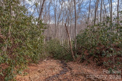 Welcome to 1345 Country Club Drive in the beautiful Springdale on Springdale Golf - Country Club in North Carolina - for sale on GolfHomes.com, golf home, golf lot