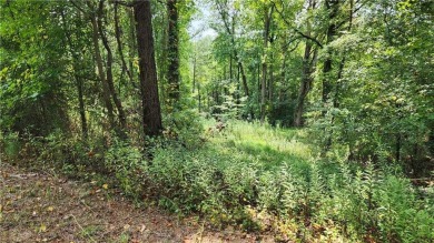 POTENTIAL COMMERCIAL! 17.675+/- acres now available in rapidly on Reunion Golf Club in Georgia - for sale on GolfHomes.com, golf home, golf lot