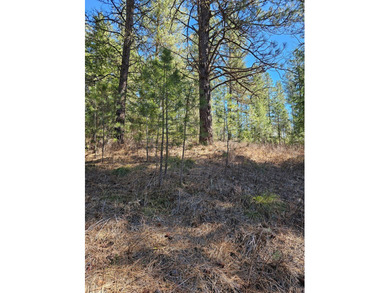 Beautifully wooded, nearly 3/4 acre lot offered for sale in the on Meadowcreek Golf Resort in Idaho - for sale on GolfHomes.com, golf home, golf lot