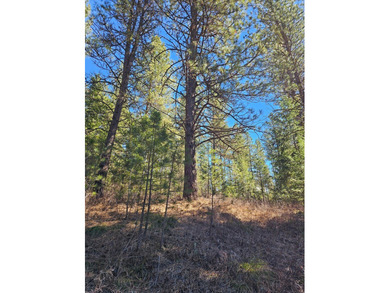 Beautifully wooded, nearly 3/4 acre lot offered for sale in the on Meadowcreek Golf Resort in Idaho - for sale on GolfHomes.com, golf home, golf lot