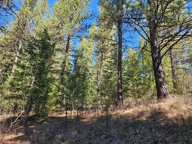 Beautifully wooded, nearly 3/4 acre lot offered for sale in the on Meadowcreek Golf Resort in Idaho - for sale on GolfHomes.com, golf home, golf lot