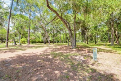 Build Your Dream Home and Discover the Perfect Blend of Luxury on Sapelo Hammock Golf Club in Georgia - for sale on GolfHomes.com, golf home, golf lot